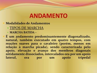ANDAMENTO
 Modalidades de Andamentos
 TIPOS DE MARCHA
 MARCHA BATIDA –
 É um andamento predominantemente diagonalizado,
natural, também executado em quatro tempos, com
reações suaves para o cavaleiro (porém, menos em
relação à marcha picada), sendo caracterizada pelo
apoio, elevação e avanço dos membros diagonais
nitidamente dissociados, intercalados ora por um apoio
lateral, ora por um apoio tripedal
 