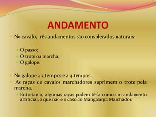 ANDAMENTO
 No cavalo, três andamentos são considerados naturais:
 O passo;
 O trote ou marcha;
 O galope.
 No galope a 3 tempos e a 4 tempos.
 As raças de cavalos marchadores suprimem o trote pela
marcha.
 Entretanto, algumas raças podem tê-la como um andamento
artificial, o que não é o caso do Mangalarga Marchador.
 