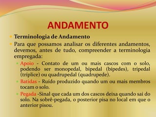ANDAMENTO
 Terminologia de Andamento
 Para que possamos analisar os diferentes andamentos,
devemos, antes de tudo, compreender a terminologia
empregada:
 Apoio - Contato de um ou mais cascos com o solo,
podendo ser monopedal, bipedal (bípedes), tripedal
(tríplice) ou quadrupedal (quadrupede).
 Batidas - Ruído produzido quando um ou mais membros
tocam o solo.
 Pegada -Sinal que cada um dos cascos deixa quando sai do
solo. Na sobrê-pegada, o posterior pisa no local em que o
anterior pisou.
 