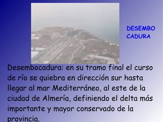 DESEMBO
CADURA
Desembocadura: en su tramo final el curso
de río se quiebra en dirección sur hasta
llegar al mar Mediterráneo, al este de la
ciudad de Almería, definiendo el delta más
importante y mayor conservado de la
provincia.