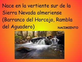 Nace en la vertiente sur de la
Sierra Nevada almeriense
(Barranco del Horcajo, Rambla
del Aguadero) NACIMIENTO