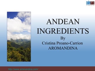 ANDEAN
                        INGREDIENTS
                                        By
                             Cristina Proano-Carrion
                                 AROMANDINA



http://www.aromandina.com/
 