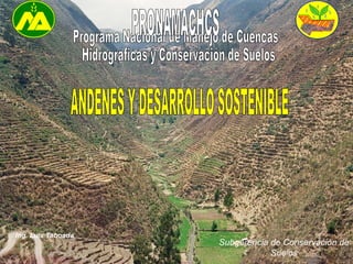 Subgerencia de Conservación de Suelos Programa Nacional de Manejo de Cuencas Hidrográficas y Conservación de Suelos PRONAMACHCS ANDENES Y DESARROLLO SOSTENIBLE Ing. Luis Taboada 