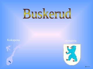 Buskerud Kokapena Armarria 