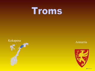 Troms Kokapena Armarria 