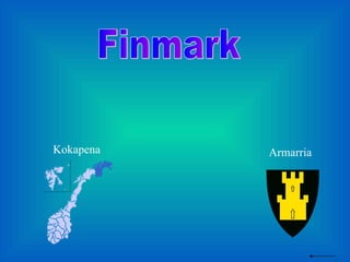 Finmark Kokapena Armarria 