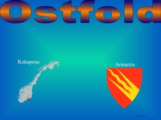 Ostfold Kokapena Armarria 