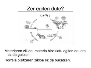 Zer egiten dute? Materiaren zikloa: materia birziklatu egiten da, eta ez da galtzen. Horrela bizitzaren zikloa ez da bukatzen.  