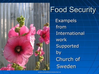 Food Security
Exampels
from
International
work
Supported
by

Church of
Sweden
anders.olund@svenskakyrkan.se

 
