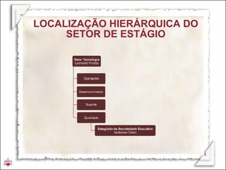 LOCALIZAÇÃO HIERÁRQUICA DO SETOR DE ESTÁGIO 