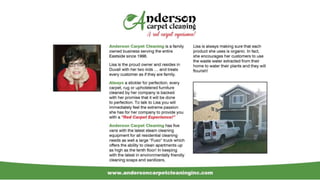 Why Choose Anderson Carpet Cleaning
