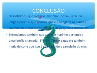 CONCLUSÃO
∗ Descobrimos que o cavalo marinho possui a cauda
 longa e preênsil que permite que ele se agarre as plantas
 submarinas enquanto se alimenta de pequenos crustáceos.

∗ Entendemos também que o cavalo marinho pertence a
 uma família chamada SYNGNATHIDA e que ele também
 muda de cor e poe isso é chamado de o camaleão do mar.
 