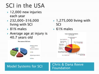 SCI in the USA12,000 new injuries each year232,000-316,000 living with SCI81% malesAverage age at injury is 40.7 years old1,275,000 living with SCI