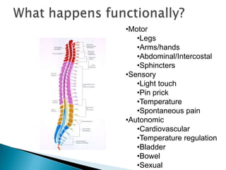 Inside the spinal cordInhibitory scarCut axonsPrimary damageSecondary damageCell deathMcDonald , 1999.  Sci. Amer. 281:64-73
