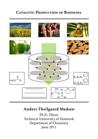 Catalytic Production of Biodiesel
R' R''
OR' R''
OH OR' R''
H3CO
O
R
___
___
__-_
R1,R2,R3
R1,R2,R3
Anders Theilgaard Madsen
Ph.D. Thesis
Technical University of Denmark
Department of Chemistry
June 2011
 