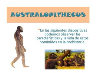 AUSTRALOPITHECUS *En las siguientes diapositivas podemos observar las características y la vida de estos homínidos en la prehistoria. 