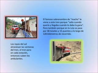 El famoso sobrenombre de “macho" le viene a este tren porque “salía cuando quería y llegaba cuando le daba la gana". Pero también porque en la ruta se pasa por 38 túneles y 15 puentes a lo largo de 128 kilómetros de recorrido. Los rayos del sol atraviesan las ventanas del tren, el tren para en cada estación, entonces suben los ambulantes. 