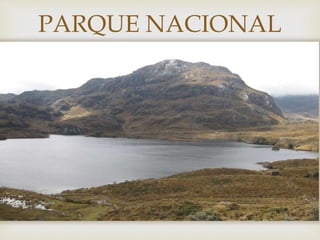 
PARQUE NACIONAL
CAJAS
 