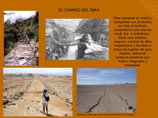 EL CAMINO DEL INKA Para mantener el control y transportar sus productos por todo el territorio, expandieron una extensa  red de caminos . Estos eran amplios, seguros, muchos de ellos empedrados y llevaban a todos los lugares del gran Imperio, utilizando antiguos senderos que fueron integrados y mejorados. Distintas formas que  toma el camino del Inka en el Imperio 