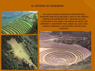 EL SISTEMA DE ANDENERÍA Uno de los motores económicos del desarrollo y expansión Inka fue la agricultura, para la cual utilizaron sistemas de  andenería  o terrazas que eran construidas en los valles o las laderas de cerros. Ahí plantaban y cosechaban maíz, papas, ají, yuca, ocas, porotos, calabazas, y quínoa entre muchas otros productos.  