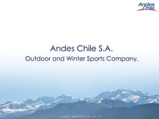 Andes Chile S.A. ,[object Object]