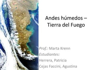 Andes húmedos –
Tierra del Fuego
Prof.: Marta Krenn
Estudiantes:
Herrera, Patricia
Cejas Faccini, Agustina
 