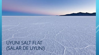 UYUNI SALT FLAT
(SALAR DE UYUNI)
 