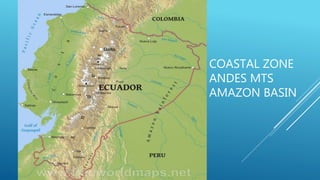 COASTAL ZONE
ANDES MTS
AMAZON BASIN
 
