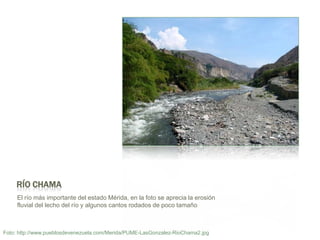 Río ChamaEl ríomásimportante del estado Mérida, en la foto se aprecia la erosión fluvial del lecho del río y algunos cantos rodados de pocotamañoFoto: http://www.pueblosdevenezuela.com/Merida/PUME-LasGonzalez-RioChama2.jpg