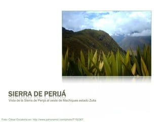 Sierra de PerijáVista de la Sierra de Perijá al oeste de Machiquesestado ZuliaFoto: César Escalona en: http://www.panoramio.com/photo/7150367