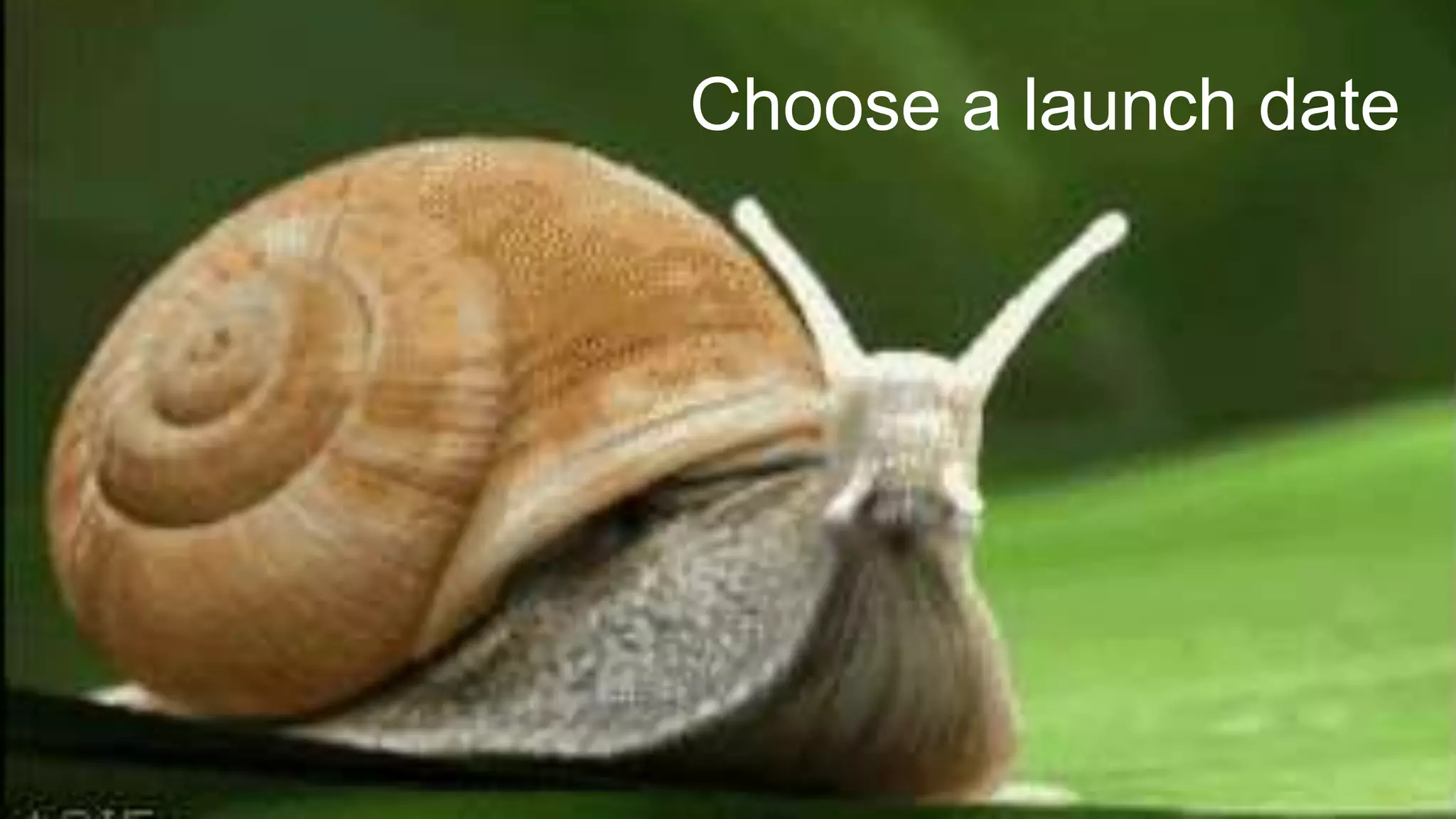 Choose a launch date
 