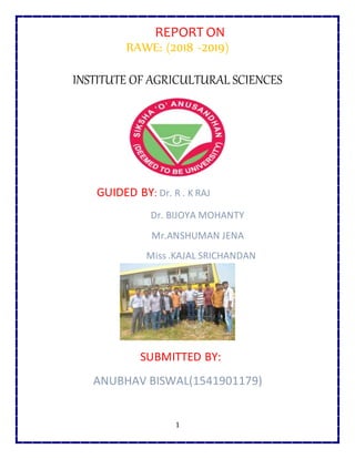 1
REPORT ON
RAWE: (2018 -2019)
INSTITUTE OF AGRICULTURAL SCIENCES
GUIDED BY: Dr. R . K RAJ
Dr. BIJOYA MOHANTY
Mr.ANSHUMAN JENA
Miss .KAJAL SRICHANDAN
SUBMITTED BY:
ANUBHAV BISWAL(1541901179)
 