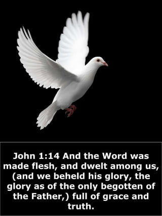 John 1:14 And the Word was made flesh, and dwelt among us, (and we beheld his glory, the glory as of the only begotten of the Father,) full of grace and truth. 