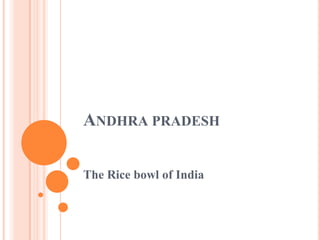 ANDHRA PRADESH
The Rice bowl of India
 