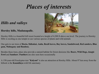 Places of interests
Hills and valleys
Horsley hills, Madanapalle.
Horsley Hills is a beautiful hill resort located at a height of 4,200 ft above sea level. The journey to Horsley
Hills is exciting as one tempts to see various species of plants and wild animals
One gets to see trees of Reeta, Shikakai, Amla, Beedi leaves, Bay leaves, Sandalwood, Red sanders, Blue
gum, Mahogany and Bamboo.
Besides these trees, place also provide a natural habitat for forest denizens like Bears, Wild Dogs, Jungle
Fowl and Sambars. Panthers are also seen here occasionally
A 150-year-old Eucalyptus tree "Kalyani" is also an attraction at Horsley Hills. About 87 km away from the
hillock is the Kaundinya wild life sanctuary.
 