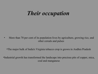 Their occupation
• More than 70 per cent of its population lives by agriculture, growing rice, and
other cereals and pulses
•The major bulk of India's Virginia tobacco crop is grown in Andhra Pradesh
•Industrial growth has transformed the landscape into precious pits of copper, mica,
coal and manganese.
 