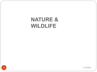 NATURE &
WILDLIFE
5/18/202016
 