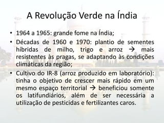 A Revolução Verde na Índia
• 1964 a 1965: grande fome na Índia;
• Décadas de 1960 e 1970: plantio de sementes
  híbridas de milho, trigo e arroz  mais
  resistentes às pragas, se adaptando às condições
  climáticas da região;
• Cultivo do IR-8 (arroz produzido em laboratório):
  tinha o objetivo de crescer mais rápido em um
  mesmo espaço territorial  beneficiou somente
  os latifundiários, além de ser necessária a
  utilização de pesticidas e fertilizantes caros.
 