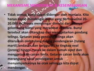 MEKANISME MENDENGAR & KESEIMBANGAN
• Tidak semua bunyi dapat didengar oleh manusia. Kita
hanya dapat mendengar bunyi yang berfrekuensi 20-
20.000 Hz.Proses mendengar dimulai dari adanya
gelombang bunyi yang merambat di udara. Bunyi
tersebut akan ditangkap dan menggetarkan gendang
telinga. Getaran pada gendang telinga akan
diteruskan oleh tulang-tulang pendengaran (tulang
martil,landasan,dan sanggurdi) ke tingkap oval
(jorong) hingga masuk ke dalam rumah siput dan
menggetarkan cairan limfa. Getaran cairan limfa akan
merangsang saraf pendegaran untuk
menyampaikannya ke otak sehingga kita dapat
mendengar.
 