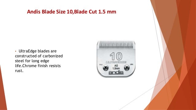 blades dog grooming