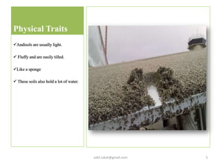 Physical Traits
Andisols are usually light.
 Fluffy and are easily tilled.
Like a sponge
 These soils also hold a lot of water.
5sakil.iubat@gmail.com
 