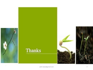 7sakil.iubat@gmail.com
 