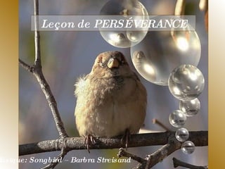 Leçon de PERSÉVERANCE Musique: Songbird – Barbra Streisand  
