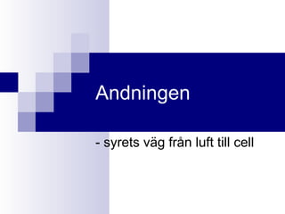 Andningen - syrets väg från luft till cell 