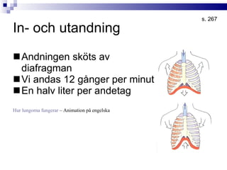 Andningen | PPT