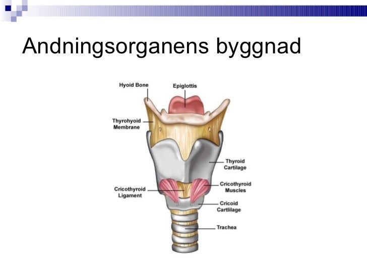 Vad är en frånskiljare