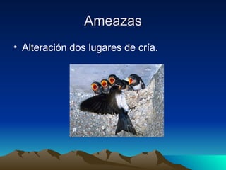 Ameazas Alteración dos lugares de cría. 