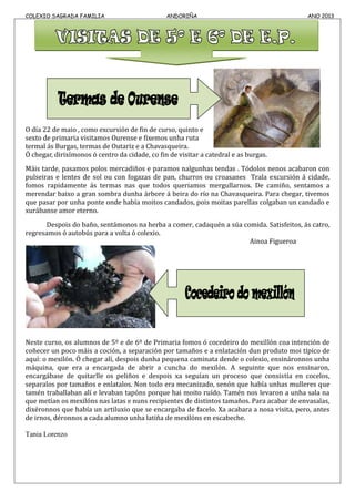 COLEXIO SAGRADA FAMILIA ANDORIÑA ANO 2013
O día 22 de maio , como excursión de fin de curso, quinto e
sexto de primaria visitamos Ourense e fixemos unha ruta
termal ás Burgas, termas de Outariz e a Chavasqueira.
Ó chegar, dirixímonos ó centro da cidade, co fin de visitar a catedral e as burgas.
Máis tarde, pasamos polos mercadiños e paramos nalgunhas tendas . Tódolos nenos acabaron con
pulseiras e lentes de sol ou con fogazas de pan, churros ou croasanes Trala excursión á cidade,
fomos rapidamente ás termas nas que todos queriamos mergullarnos. De camiño, sentamos a
merendar baixo a gran sombra dunha árbore á beira do río na Chavasqueira. Para chegar, tivemos
que pasar por unha ponte onde había moitos candados, pois moitas parellas colgaban un candado e
xurábanse amor eterno.
Despois do baño, sentámonos na herba a comer, cadaquén a súa comida. Satisfeitos, ás catro,
regresamos ó autobús para a volta ó colexio.
Ainoa Figueroa
Neste curso, os alumnos de 5º e de 6º de Primaria fomos ó cocedeiro do mexillón coa intención de
coñecer un poco máis a coción, a separación por tamaños e a enlatación dun produto moi típico de
aquí: o mexilón. Ó chegar alí, despois dunha pequena caminata dende o colexio, ensináronnos unha
máquina, que era a encargada de abrir a cuncha do mexilón. A seguinte que nos ensinaron,
encargábase de quitarlle os peliños e despois xa seguían un proceso que consistía en cocelos,
separalos por tamaños e enlatalos. Non todo era mecanizado, senón que había unhas mulleres que
tamén traballaban alí e levaban tapóns porque hai moito ruído. Tamén nos levaron a unha sala na
que metían os mexilóns nas latas e nuns recipientes de distintos tamaños. Para acabar de envasalas,
dixéronnos que había un artiluxio que se encargaba de facelo. Xa acabara a nosa visita, pero, antes
de irnos, déronnos a cada alumno unha latiña de mexilóns en escabeche.
Tania Lorenzo
 