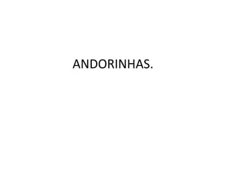 ANDORINHAS. 