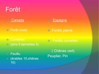 Forêt
 Canada
 Forêt mixte
 Conifères
 (pins 9 épinettes 5)
 Feuillu
 (érables 10,chênes
10)
 Espagne
 Forêts pleine
 Forêts ouvertes
 ( Chênes vert)
Peuplier, Pin
 